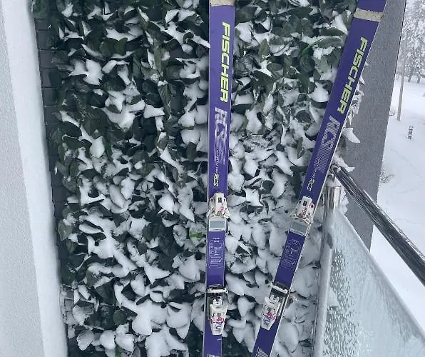 Apartment M Zlatni Breg