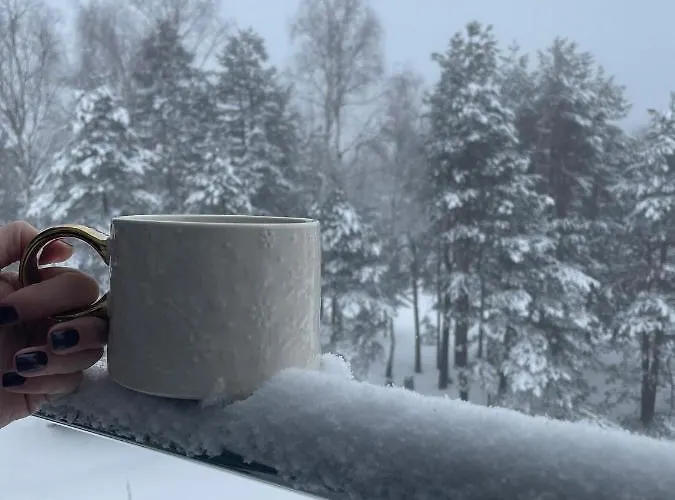 M Zlatni Breg * Divčibare