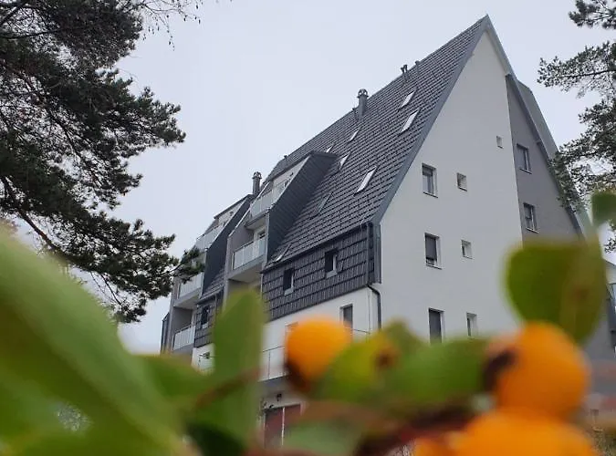 M Zlatni Breg Apartment