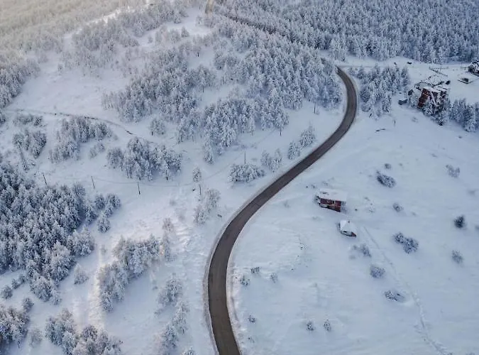 M Zlatni Breg Apartment